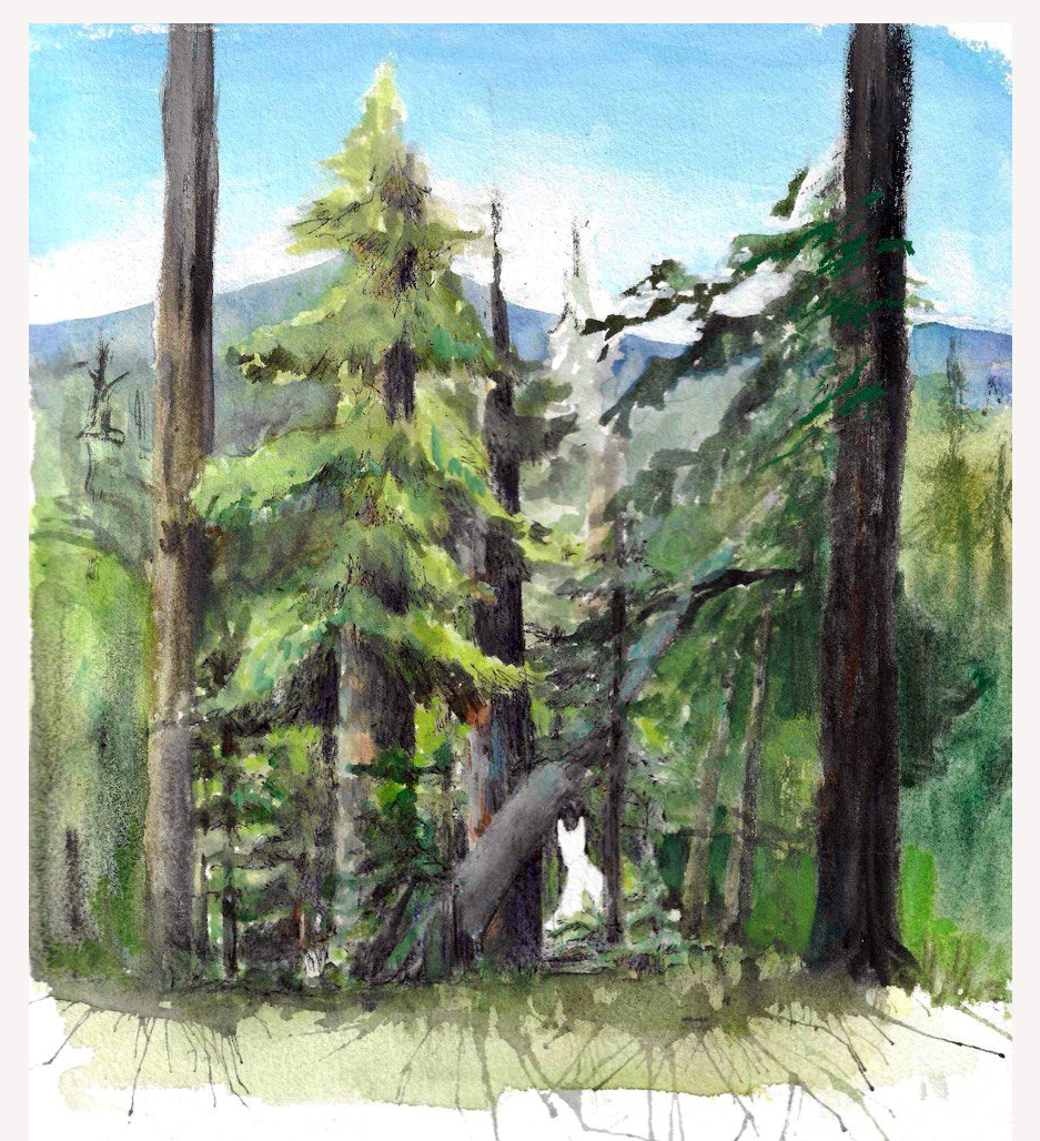 Ep 7: Reckoning with the McKenzie River&nbsp;Bigfoot