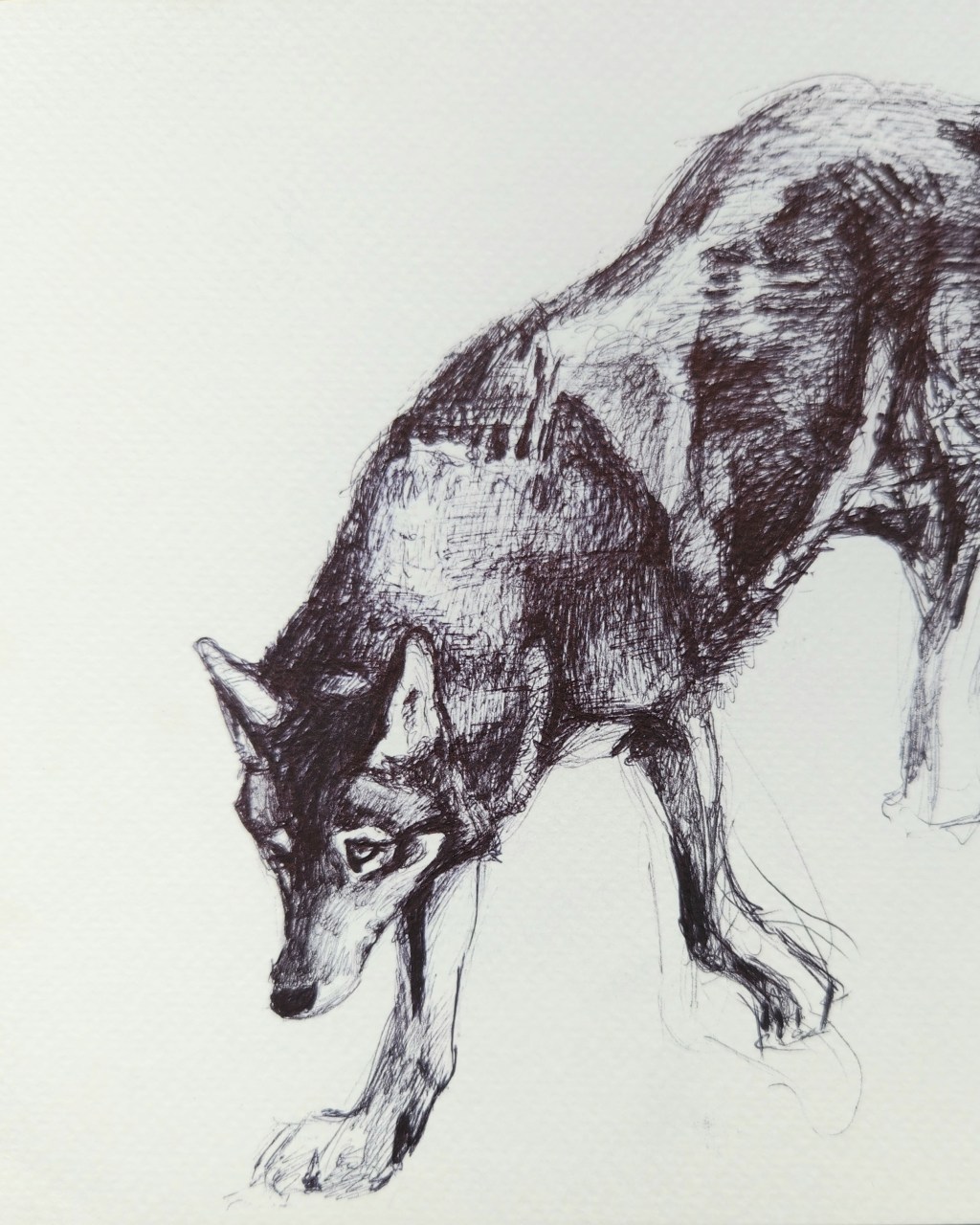 S2/Ep8: Dan Flores talks hunting and Wild New&nbsp;World